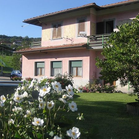 B&B Garden Solto Collina Dış mekan fotoğraf