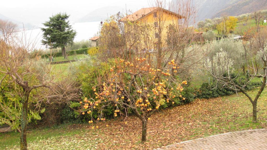 B&B Garden Solto Collina Dış mekan fotoğraf
