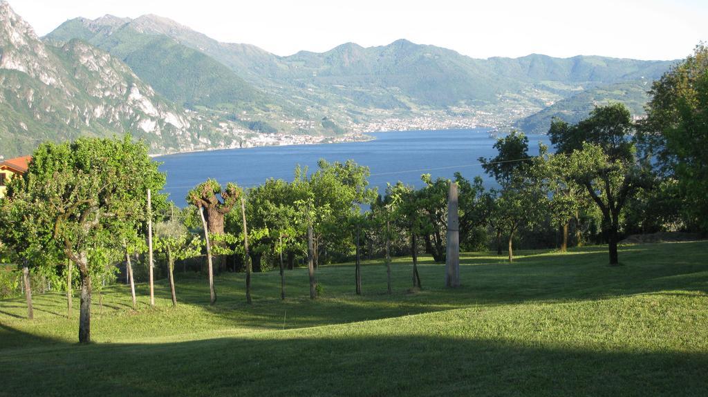B&B Garden Solto Collina Dış mekan fotoğraf